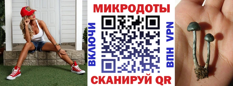 Купить  Шебекино  Псилоцибиновые грибы Magic Shrooms 