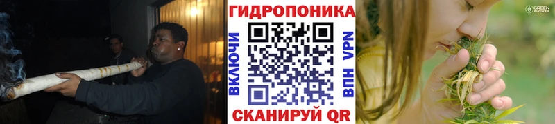 Купить где  Шебекино  Бошки Шишки гибрид 